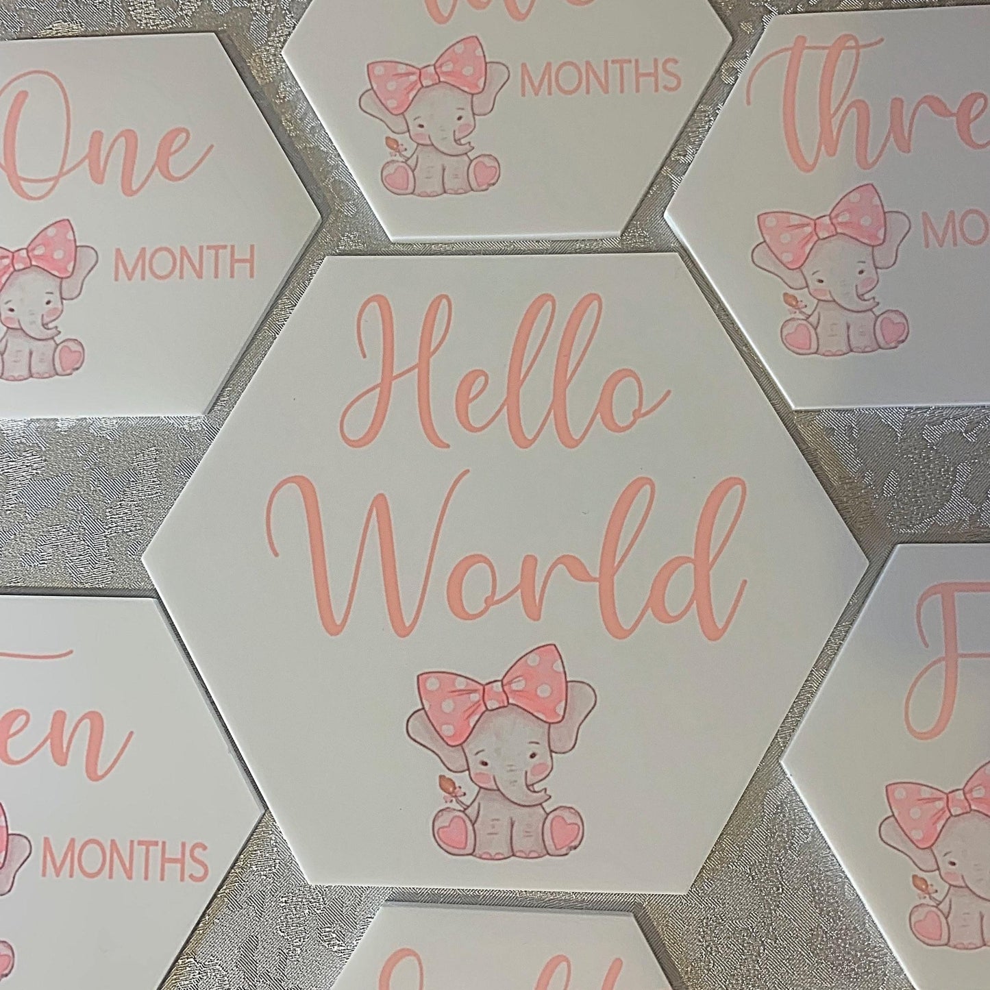 Baby's First Months Milestone Discs