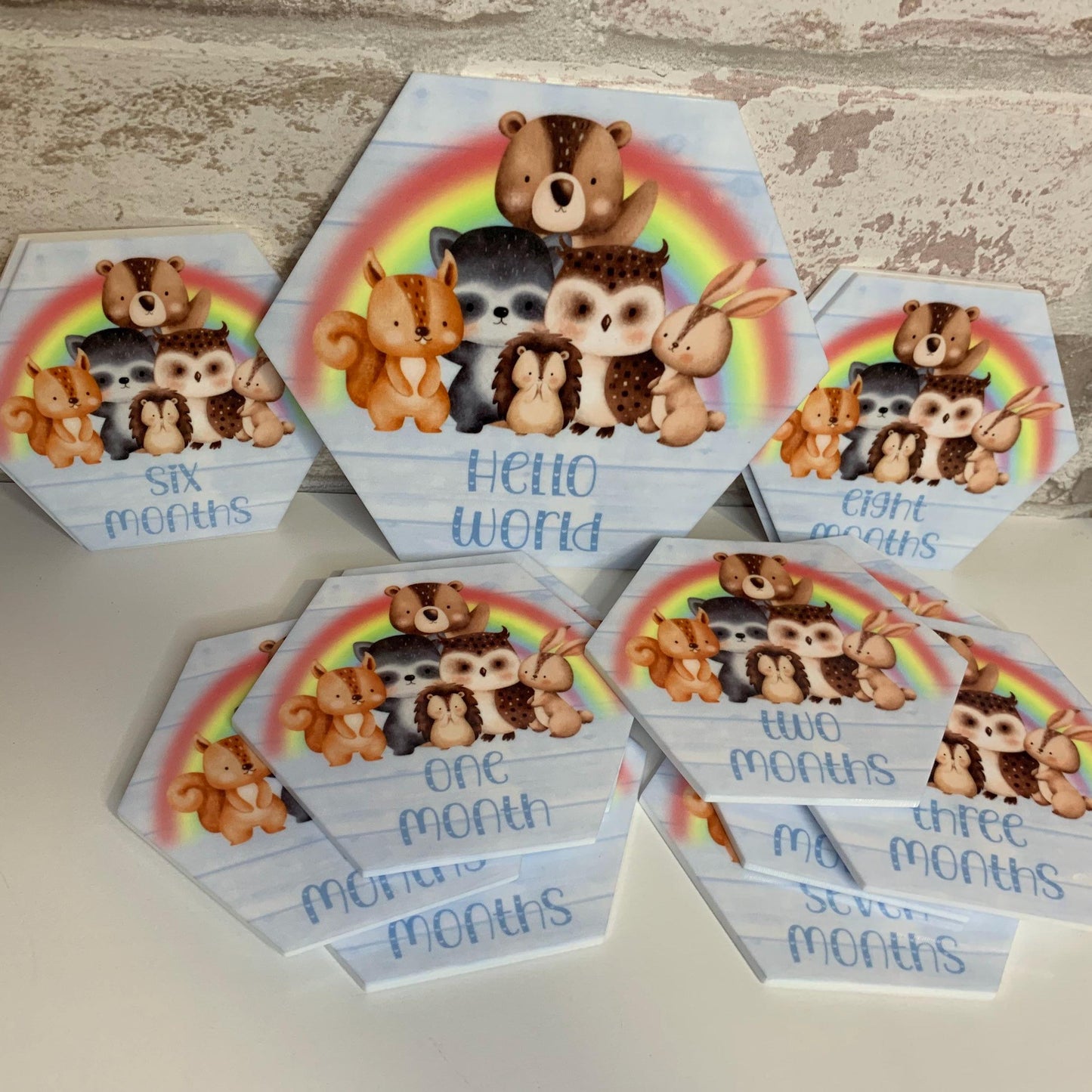 Baby's First Months Milestone Discs