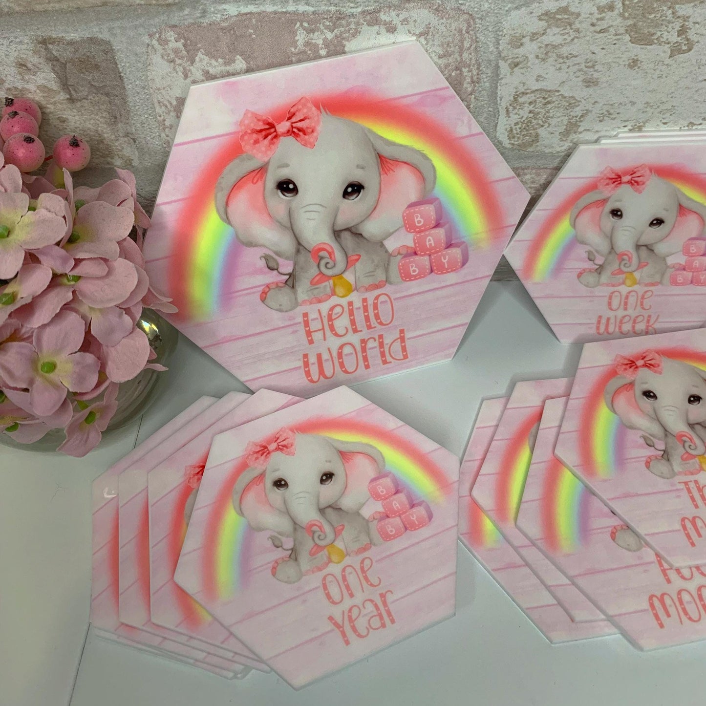 Baby's First Months Milestone Discs
