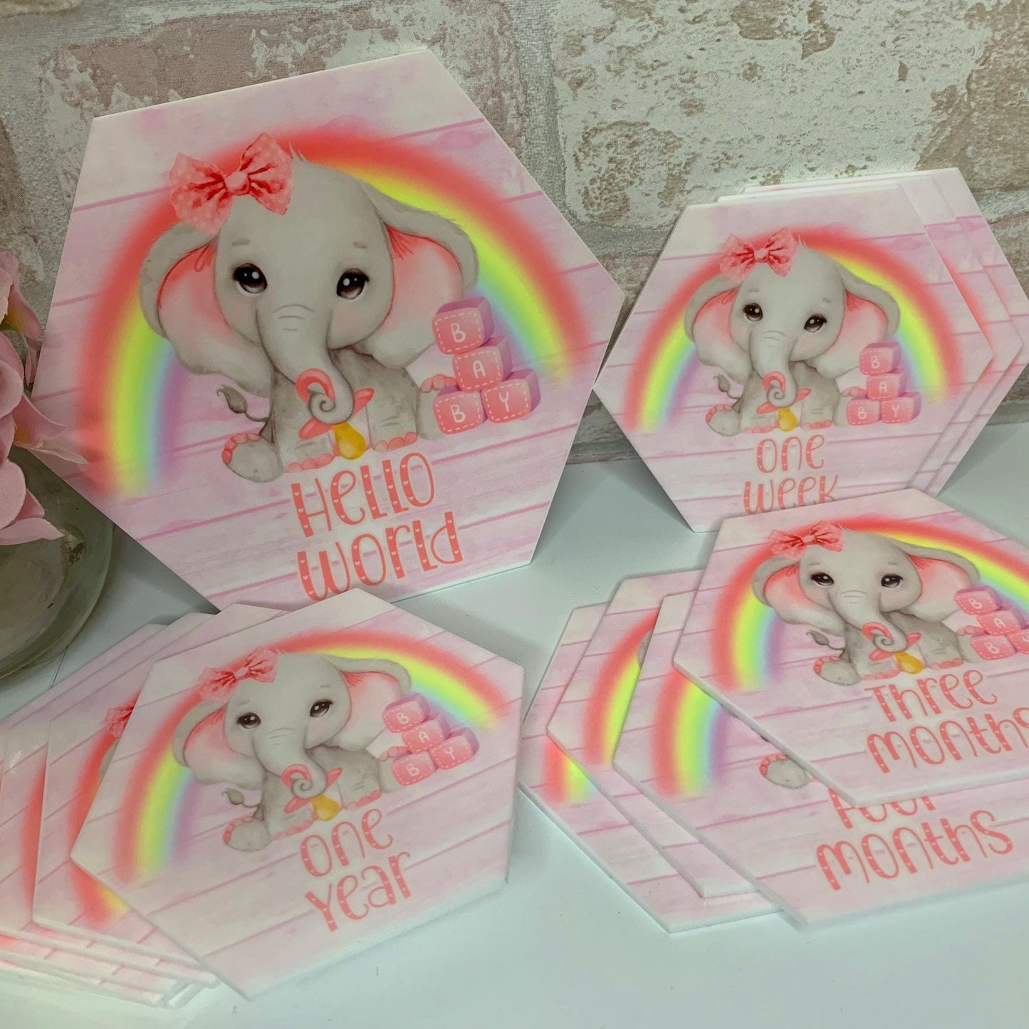 Baby's First Months Milestone Discs