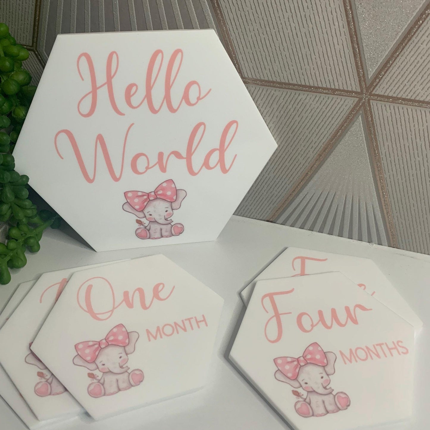 Baby's First Months Milestone Discs
