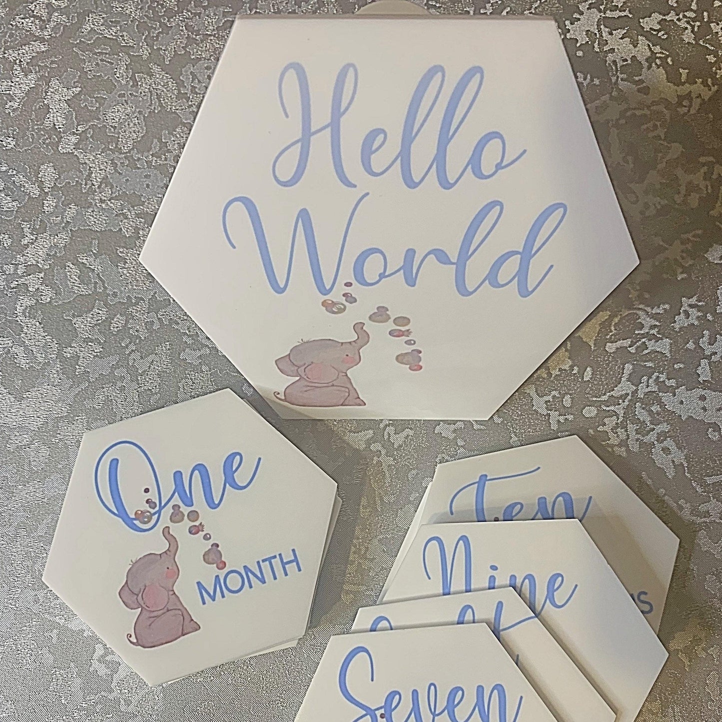 Baby's First Months Milestone Discs
