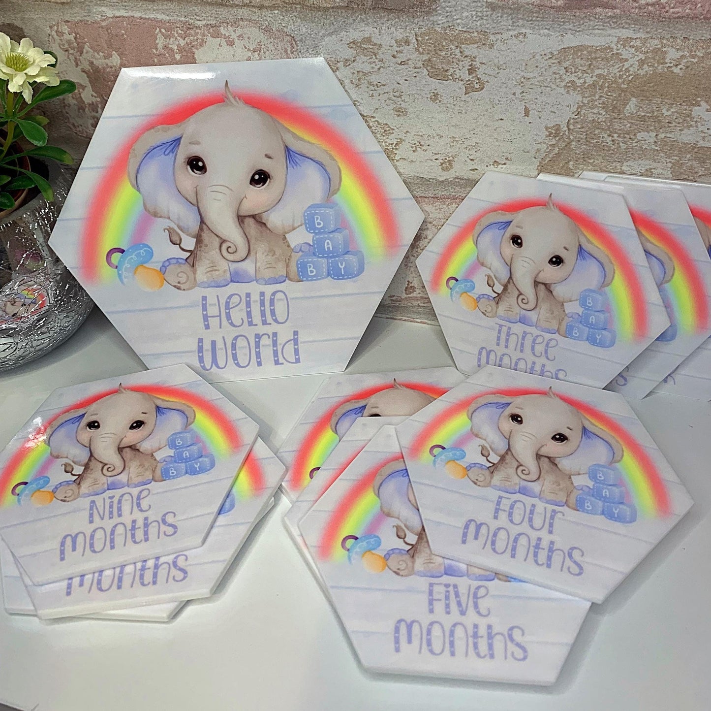 Baby's First Months Milestone Discs