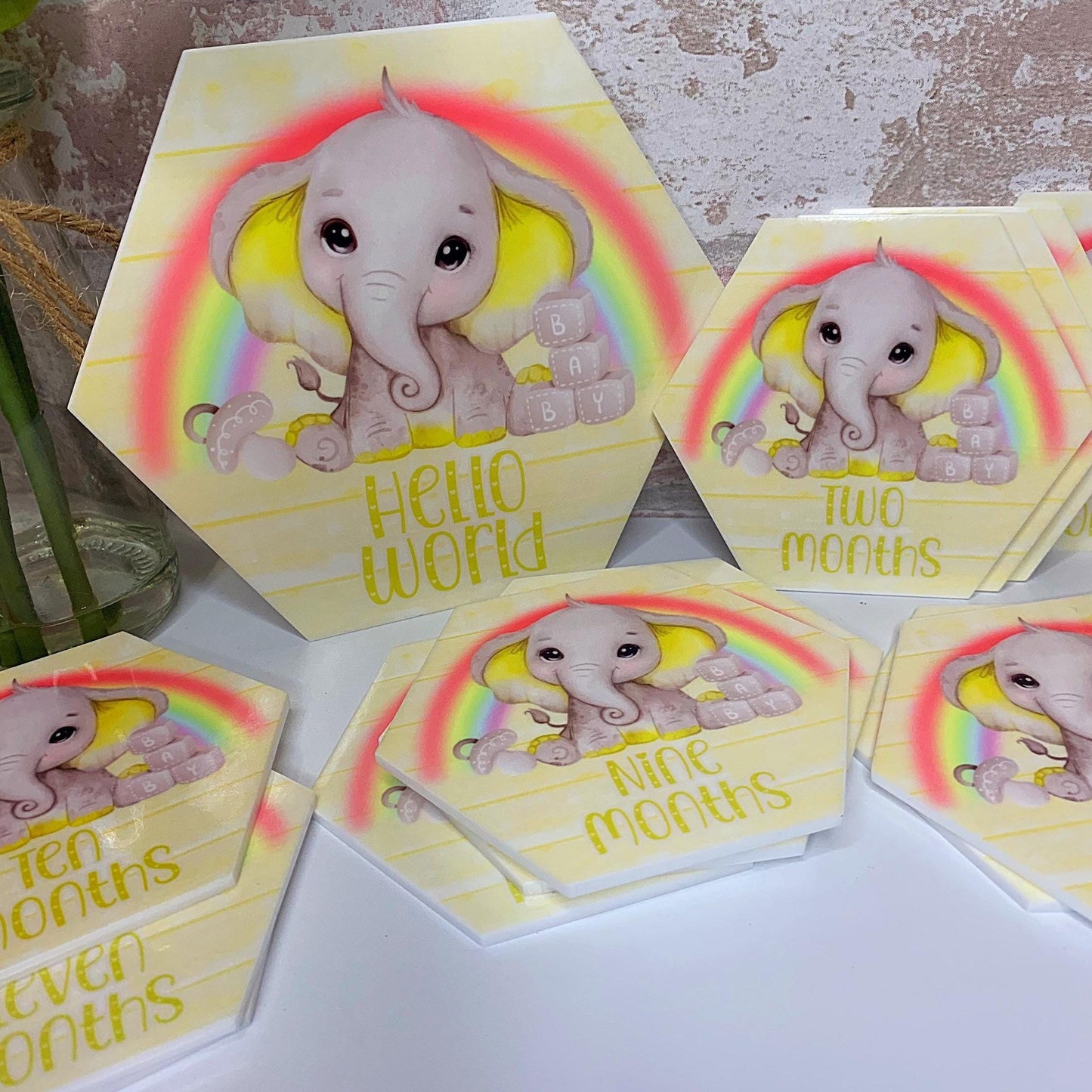 Baby's First Months Milestone Discs