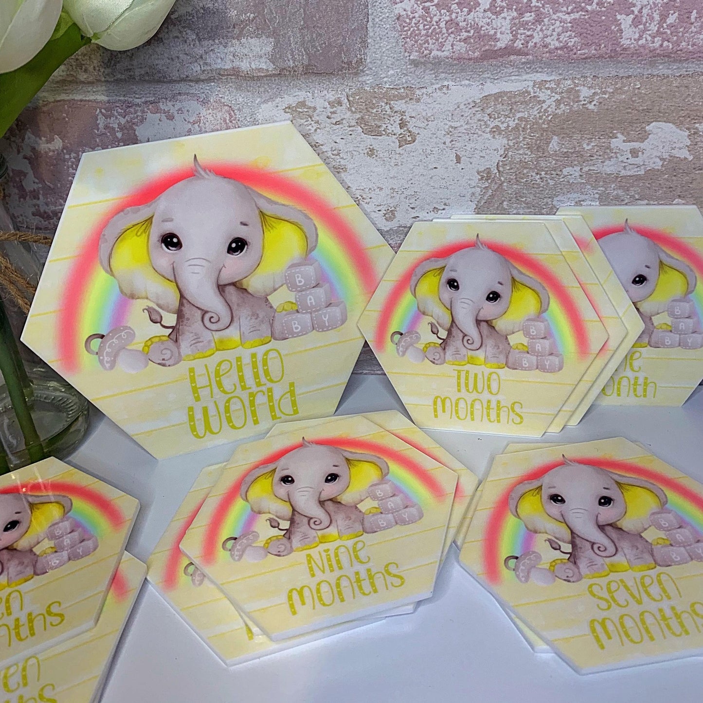 Baby's First Months Milestone Discs