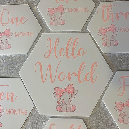 Baby's First Months Milestone Discs
