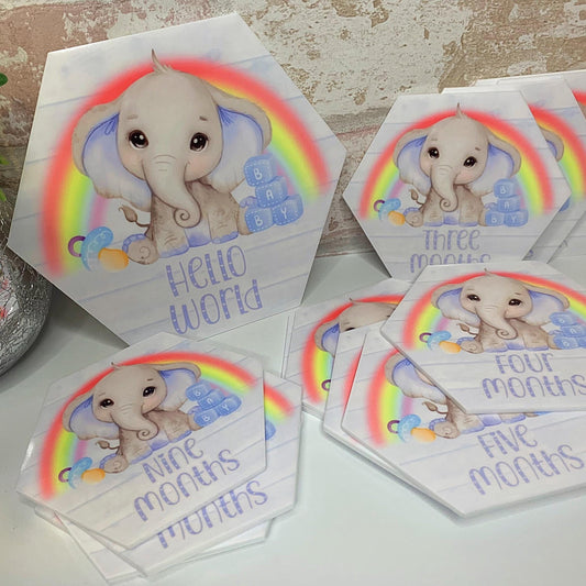 Baby's First Months Milestone Discs