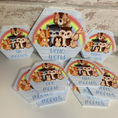 Baby's First Months Milestone Discs