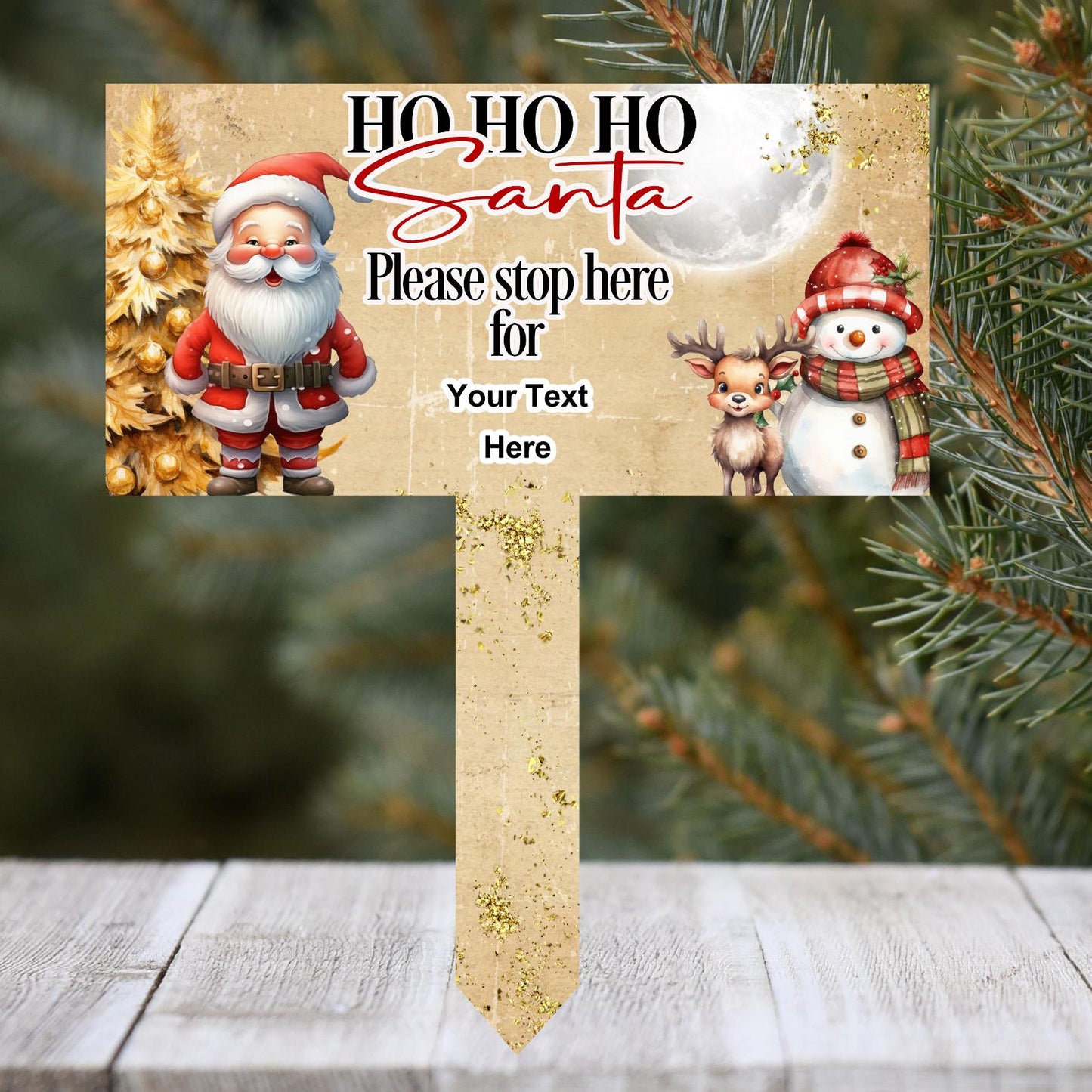 Santa Please Stop Here For