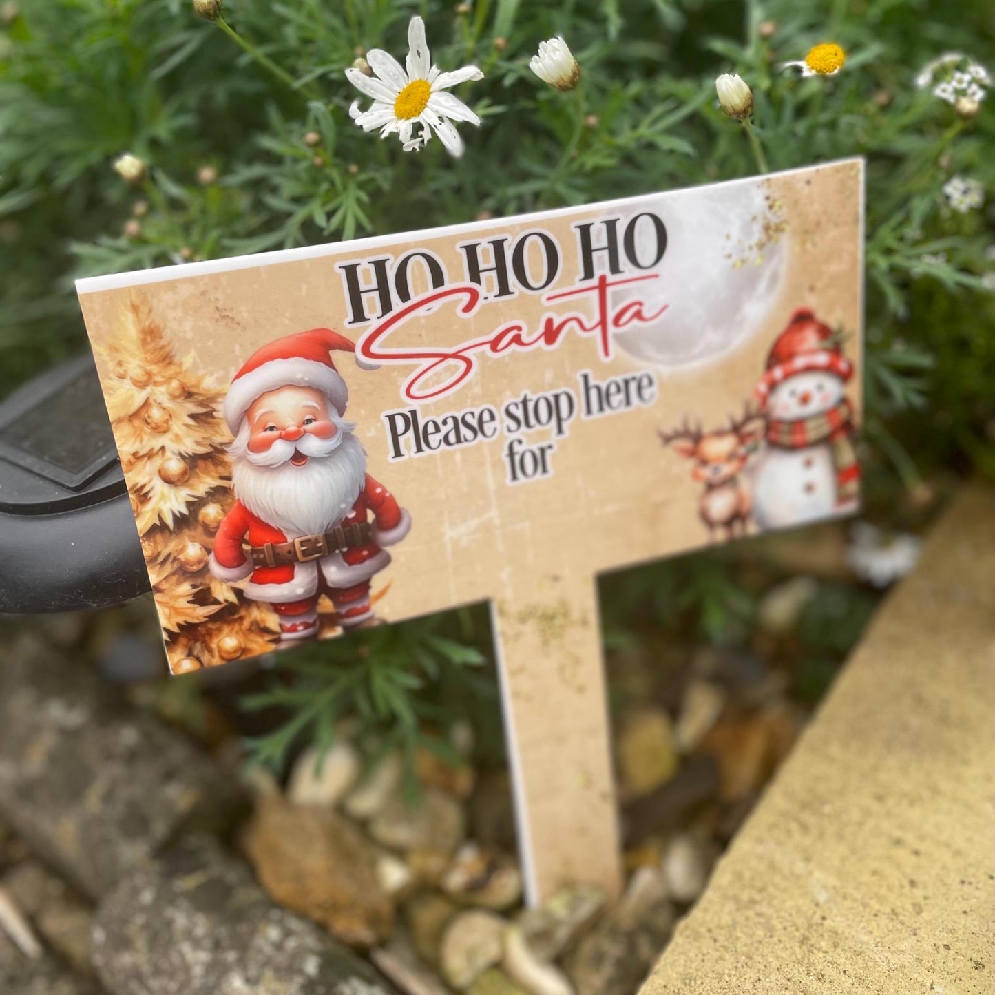 Santa Please Stop Here For