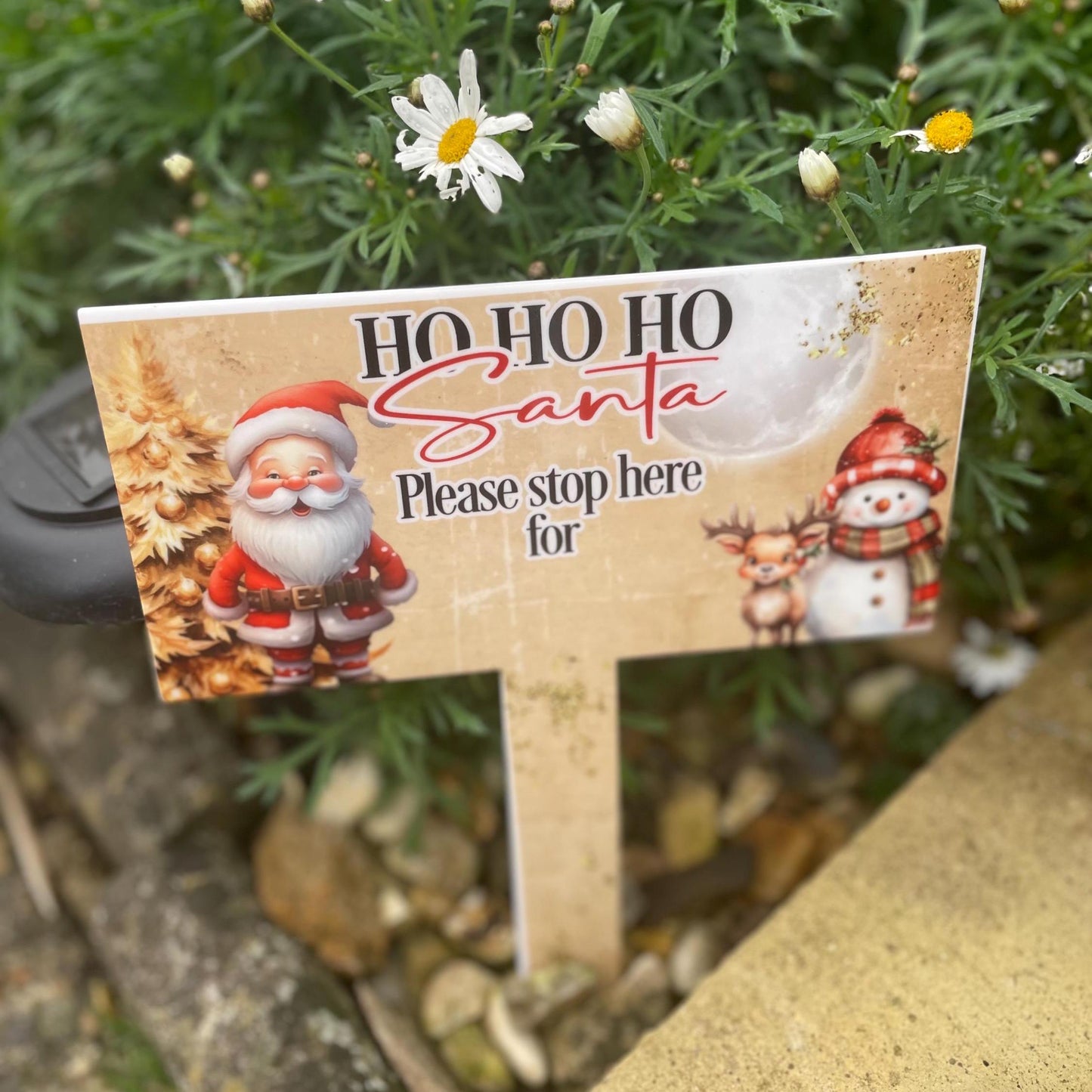 Santa Please Stop Here For