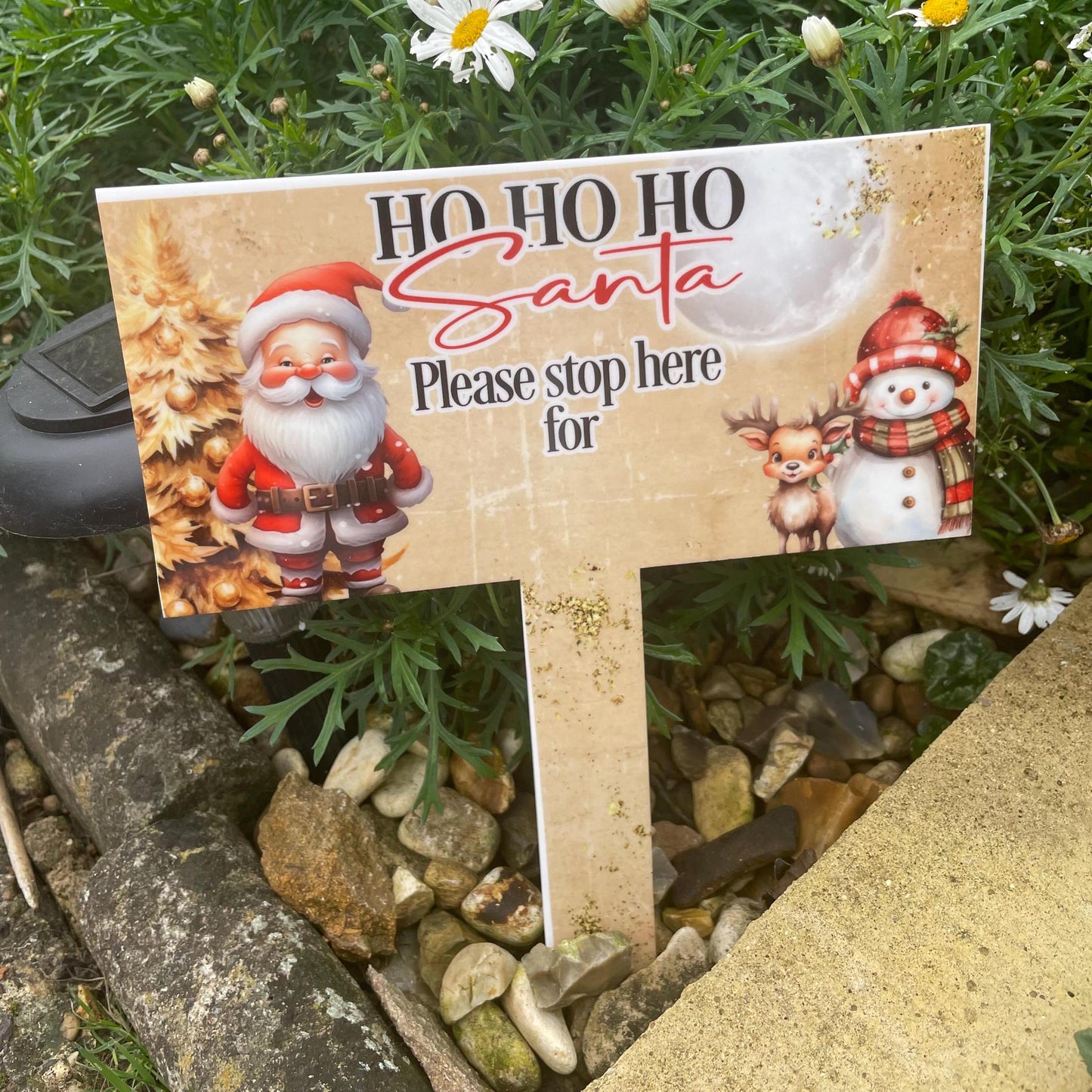 Santa Please Stop Here For