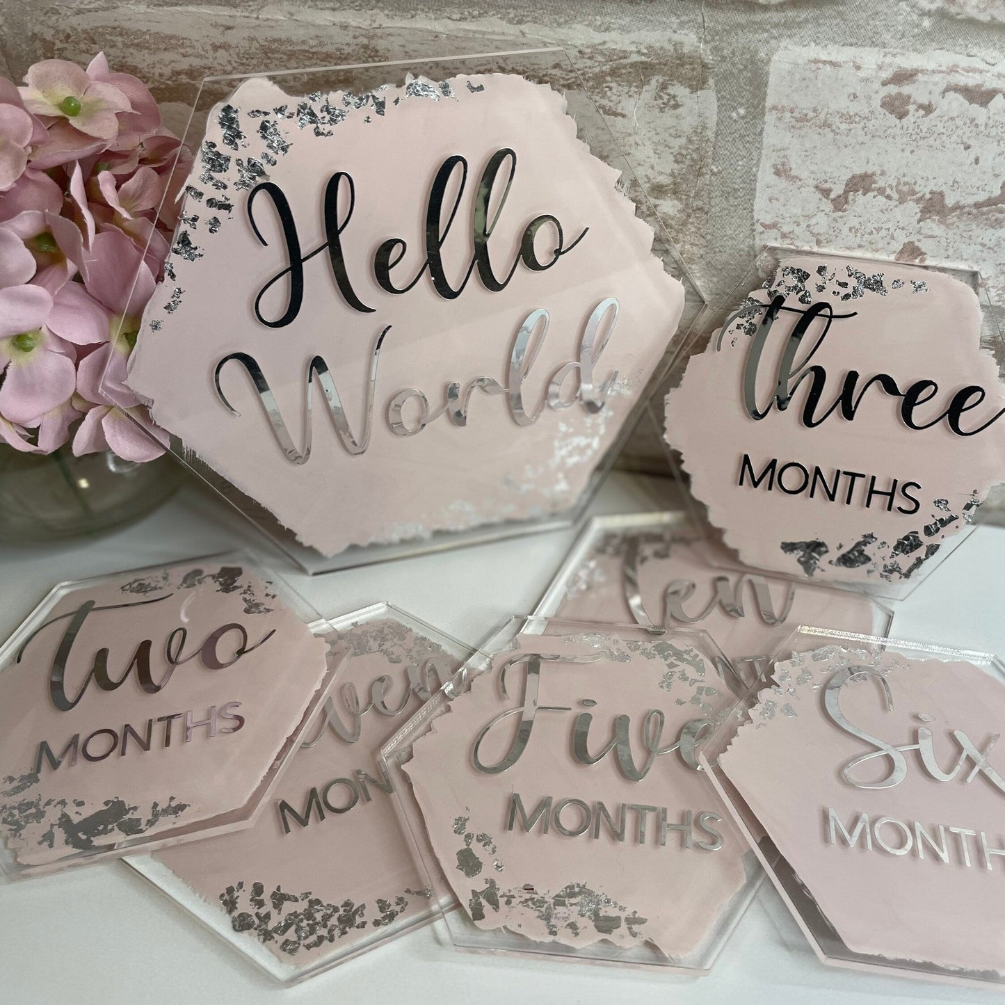 Hello World Baby First Months Milestone Discs